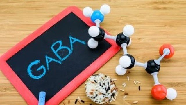 GABAとは?自律神経を整えリラックス効果を高める食品と秘訣 - サプリ専門店 ギャバ太郎SHOP本店