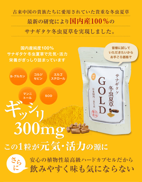 【SKU - 111】冬虫夏草GOLD (カプセル)津和野産サナギタケ 本場チベット産に近似成分 - サプリ専門店 ギャバ太郎SHOP本店