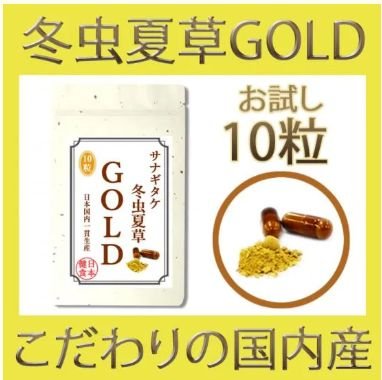 【SKU - 119】冬虫夏草GOLD (カプセルお試し)津和野産サナギタケGOLD 本場チベット産に近似成分 - サプリ専門店 ギャバ太郎SHOP本店