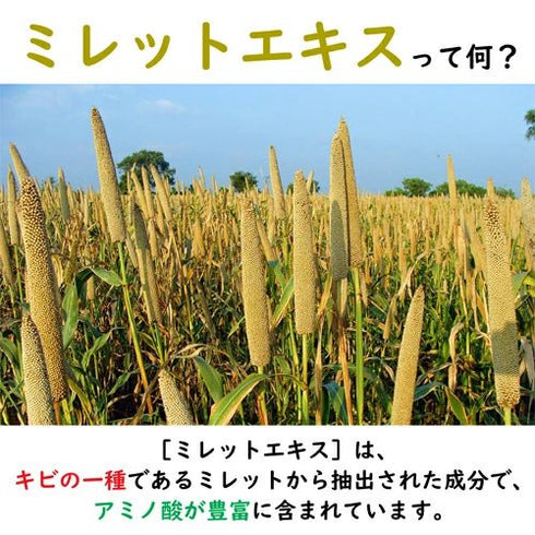 【SKU-303】高濃度スーパーミレットエキス - サプリ専門店 ギャバ太郎SHOP本店