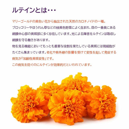 【SKU - 308】ルテイン 北欧産ブルーベリー 目 eye - サプリ専門店 ギャバ太郎SHOP本店