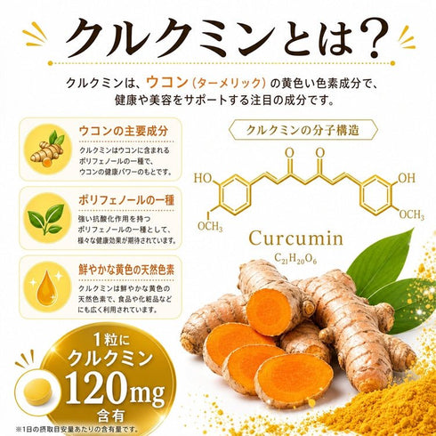 【SKU-311】濃縮ウコンパワー クルクミン120mg配合 高濃度クルクミノイド95% 黒胡椒抽出物で吸収強化 無添加 健康維持サポートサプリ - サプリ専門店 ギャバ太郎SHOP本店