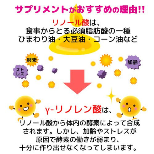 【SKU - 409】月見草オイル ガンマ(γ) - リノレン酸含有 | ホルモンバランスをサポート - サプリ専門店 ギャバ太郎SHOP本店