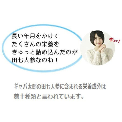 【SKU-506】田七人参 (でんしちにんじん) サポニン サプリ サプリメント - サプリ専門店 ギャバ太郎SHOP本店