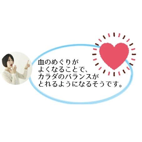 【SKU-506】田七人参 (でんしちにんじん) サポニン サプリ サプリメント - サプリ専門店 ギャバ太郎SHOP本店