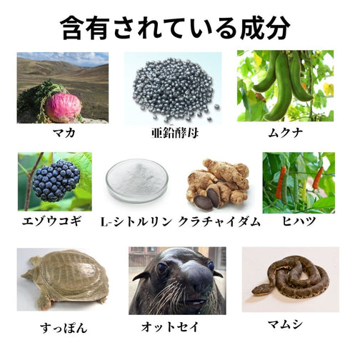【SKU - 510】強力・活力サプリ 伝承十精/マムシ スッポン 亜鉛 ヒハツ クラチャイダム オットセイ シトルリン ムクナエキス配合 健康 妊活 - サプリ専門店 ギャバ太郎SHOP本店