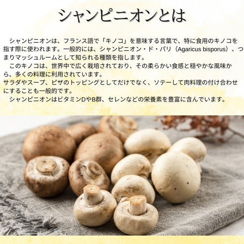 【SKU - 517】エチケットサプリ【シャンピニオンエキス】 毎日のエチケットマナーに! - サプリ専門店 ギャバ太郎SHOP本店