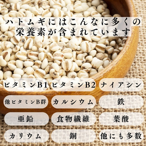 【SKU - 614】ハトムギエキス サプリメント 1~9ヶ月分 美容 美肌 透明感 クリア 春 新生活応援 - サプリ専門店 ギャバ太郎SHOP本店