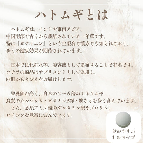 【SKU - 614】ハトムギエキス サプリメント 1~9ヶ月分 美容 美肌 透明感 クリア 春 新生活応援 - サプリ専門店 ギャバ太郎SHOP本店