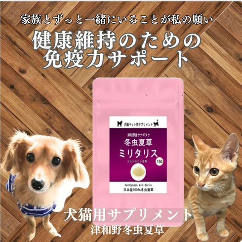【SKU-801】ミリタリス 粉末 15g/30g 犬 猫 ペット 免疫力 サプリ 日本産100%サナギタケ冬虫夏草 コルジセピン - サプリ専門店 ギャバ太郎SHOP本店