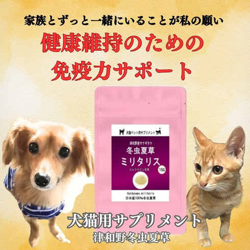 【SKU-801】ミリタリス 粉末 15g/30g 犬 猫 ペット 免疫力 サプリ 日本産100%サナギタケ冬虫夏草 コルジセピン - サプリ専門店 ギャバ太郎SHOP本店