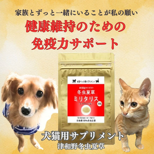 【SKU-801】ミリタリス 粉末 15g/30g 犬 猫 ペット 免疫力 サプリ 日本産100%サナギタケ冬虫夏草 コルジセピン - サプリ専門店 ギャバ太郎SHOP本店