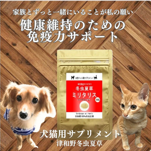 【SKU-801】ミリタリス 粉末 15g/30g 犬 猫 ペット 免疫力 サプリ 日本産100%サナギタケ冬虫夏草 コルジセピン - サプリ専門店 ギャバ太郎SHOP本店