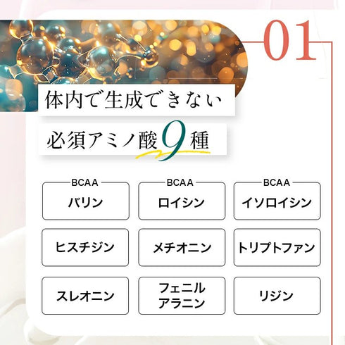 【SKU - n302】国内産100% スッポンそのまま すっぽん スッポン 粉末 女性 おすすめ サプリメント サプリ (コピー) - サプリ専門店 ギャバ太郎SHOP本店