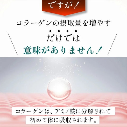 【SKU - n302】国内産100% スッポンそのまま すっぽん スッポン 粉末 女性 おすすめ サプリメント サプリ (コピー) - サプリ専門店 ギャバ太郎SHOP本店