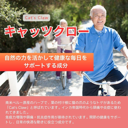 【SKU - n413】発酵グルコサミン ボタニカル サプリメント 日本初の組み合わせ!グルコサミン キャッツクロー オリーブ葉エキス 3つの成分が実現する軽やかな毎日 健康サポート 健康食品 送料無料 - サプリ専門店 ギャバ太郎SHOP本店