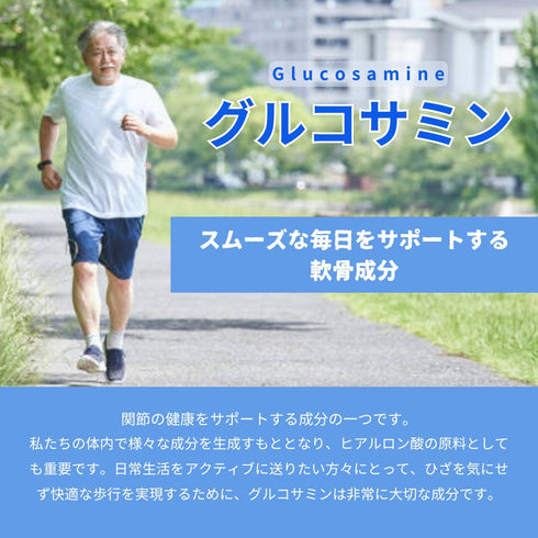 【SKU - n413】発酵グルコサミン ボタニカル サプリメント 日本初の組み合わせ!グルコサミン キャッツクロー オリーブ葉エキス 3つの成分が実現する軽やかな毎日 健康サポート 健康食品 送料無料 - サプリ専門店 ギャバ太郎SHOP本店