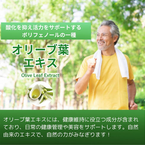 【SKU - n413】発酵グルコサミン ボタニカル サプリメント 日本初の組み合わせ!グルコサミン キャッツクロー オリーブ葉エキス 3つの成分が実現する軽やかな毎日 健康サポート 健康食品 送料無料 - サプリ専門店 ギャバ太郎SHOP本店