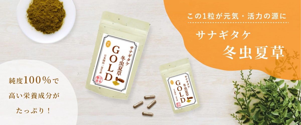 サナギタケ冬虫夏草