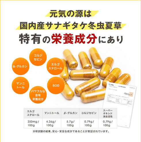 【SKU-111】 津和野産サナギタケ冬虫夏草 カプセル - ギャバ太郎SHOP本店