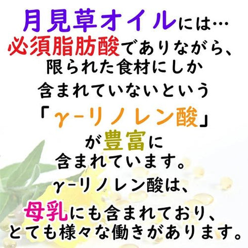【SKU-409】γ-リノレン酸含有 月見草オイル サプリメント - ギャバ太郎SHOP本店