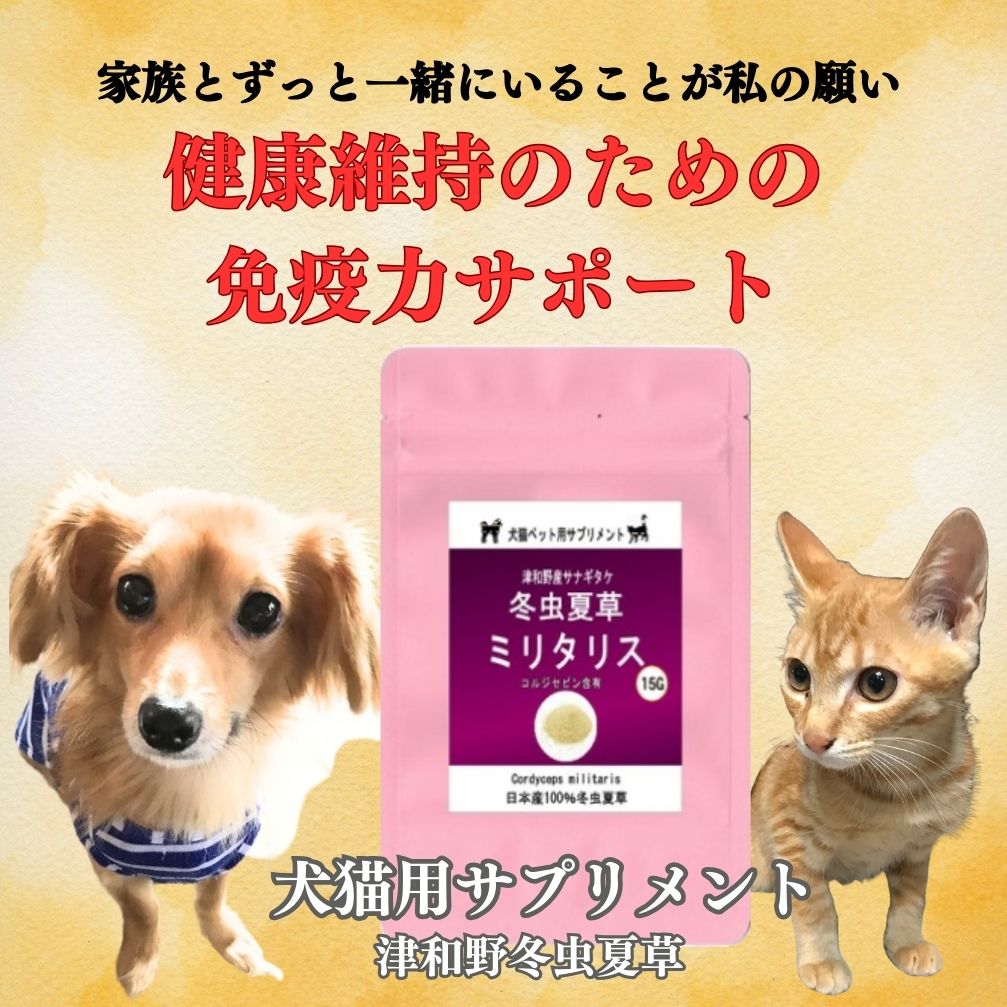 冬虫夏草 15g SKU-801】ミリタリス 15g/30g 犬 猫 免疫力 サプリ 冬虫夏草 15g SKU-801】ミリタリス 15g/30g 犬 猫 免疫力 サプリ